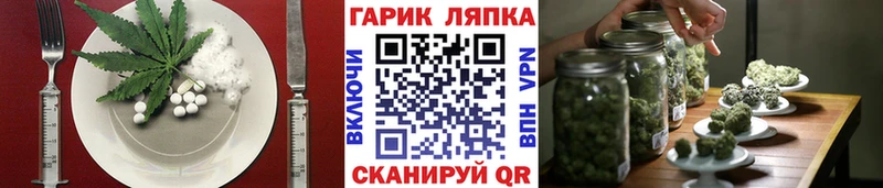 Canna-Cookies конопля omg Сурск