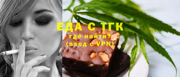 индика Нязепетровск