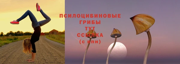 a pvp Абинск