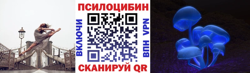 Псилоцибиновые грибы мицелий  Сурск 